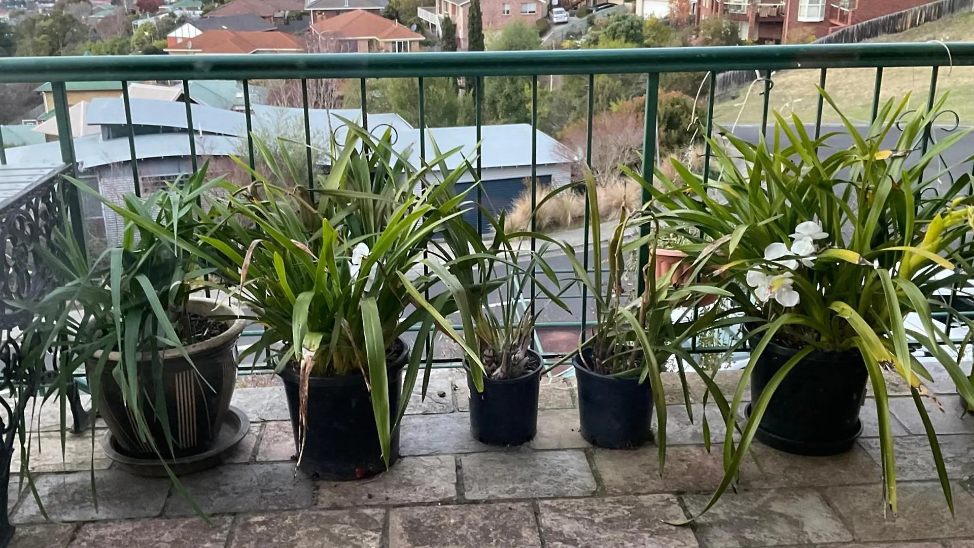 Hobart Vista Apartment Australia